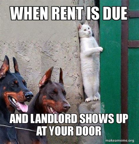 rent meme|31 Renter Memes That Give Experienced Tenants the